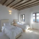 Casadei Pool 4-bdr Sea View 'anemos' & 'petra' With Nighttime Security Guard * بانورموس ميكونو